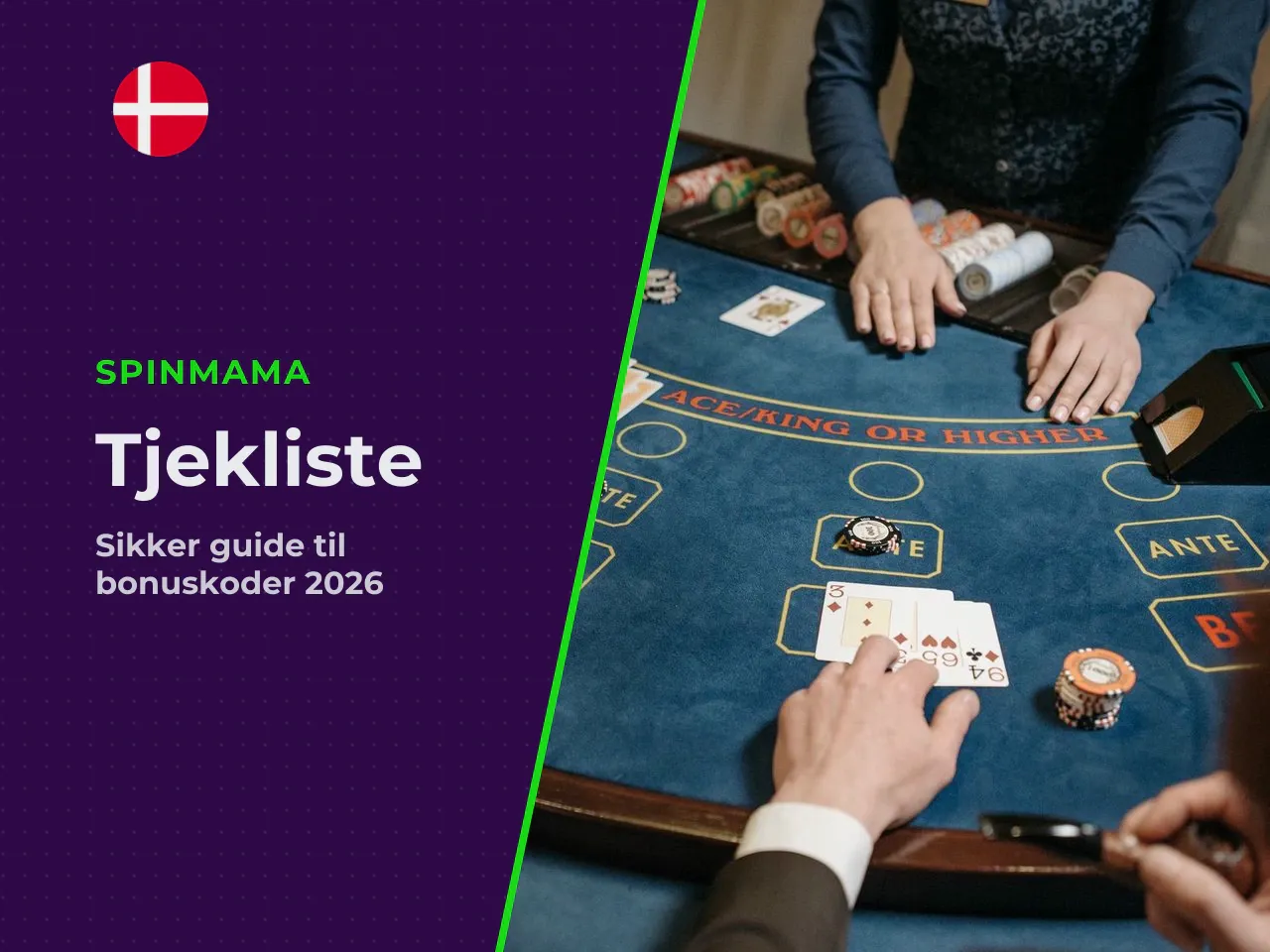 Bilag redaktionel tjekliste før du bruger