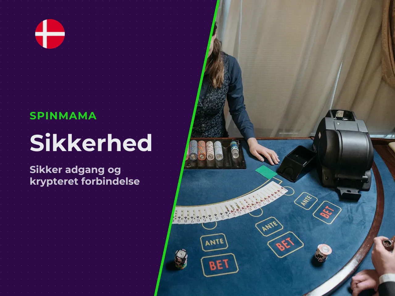 Adgang til Spinmama Casino og kontrol