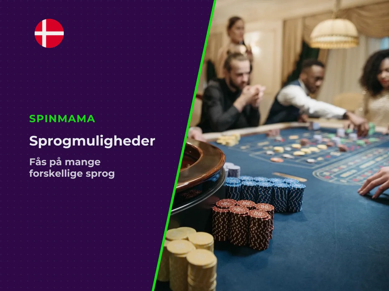 Sprogmuligheder og tilgængelighed af information. Hjemmesiden