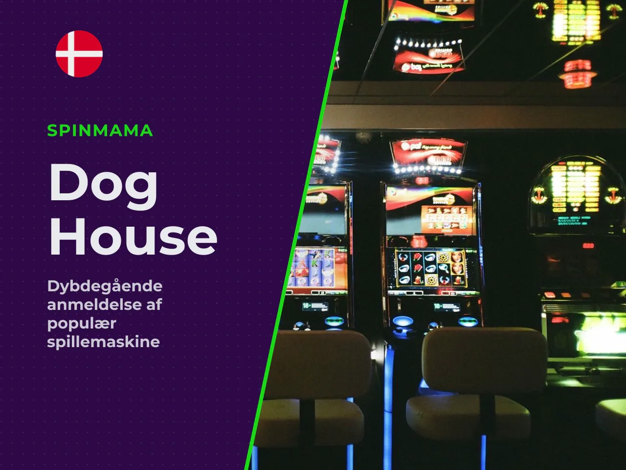Hvad er The Dog House Megaways