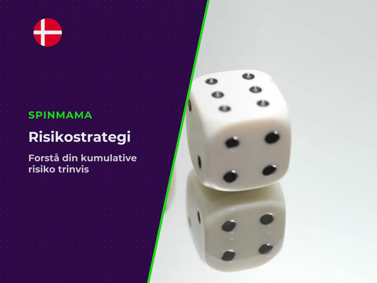 12A H3 Risikokurven trin for trin